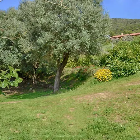 Spacieuse Avec Piscine à Coti-chiavari Villa *